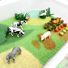 Load image into Gallery viewer, Tara Treasures - Farm Play Mat Playscape Small
